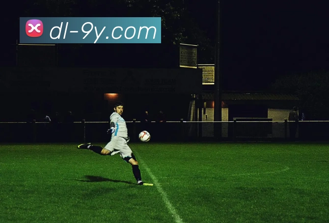 九游官网平台生态图